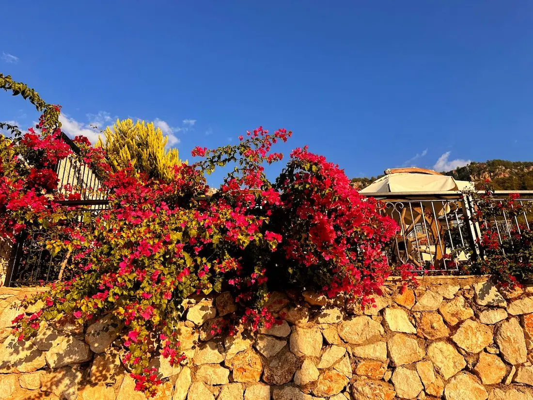 Villa in Faralya